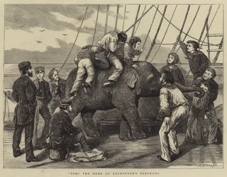 Tom, de Olifant van de Hertog van Edinburgh